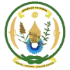 鲁西罗FC
